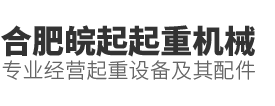 合肥皖起起重機械有限公司